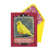 view Canary Birthday Card